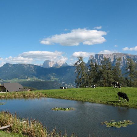 Unterpfaffstall-Hof Collalbo Zewnętrze zdjęcie