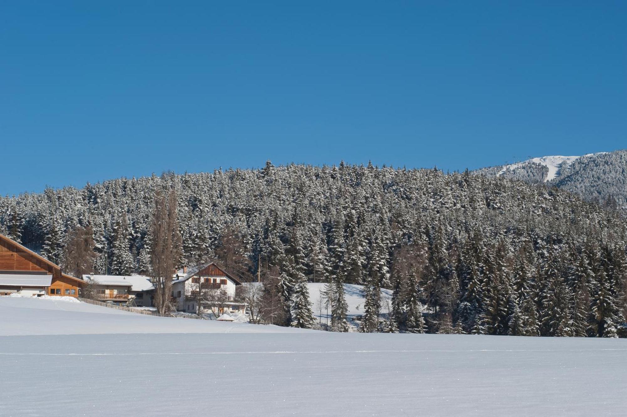 Unterpfaffstall-Hof Collalbo Zewnętrze zdjęcie