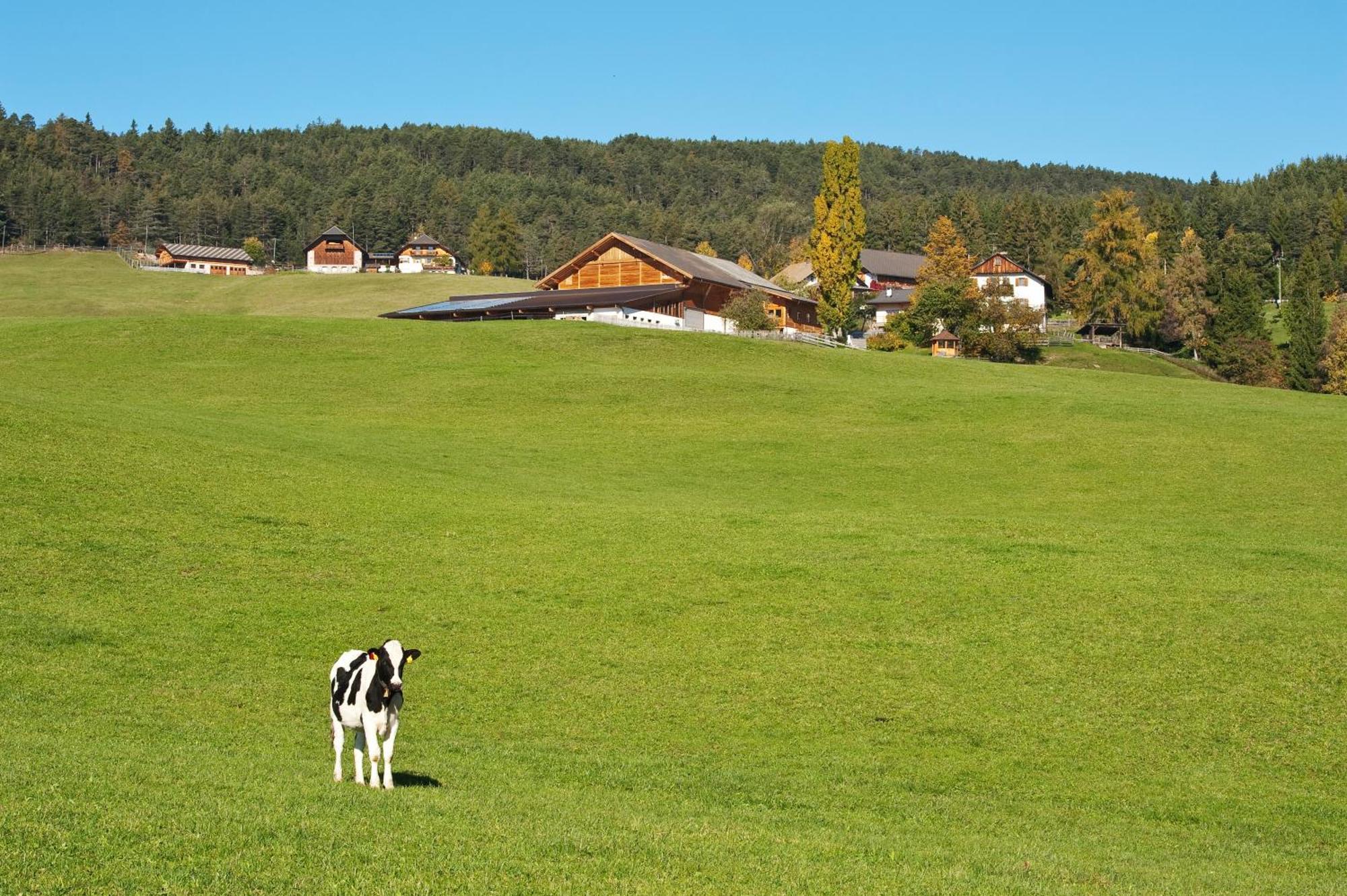 Unterpfaffstall-Hof Collalbo Zewnętrze zdjęcie